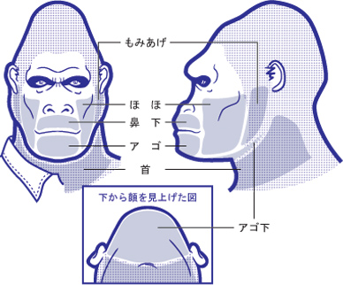 ゴリラ脱毛